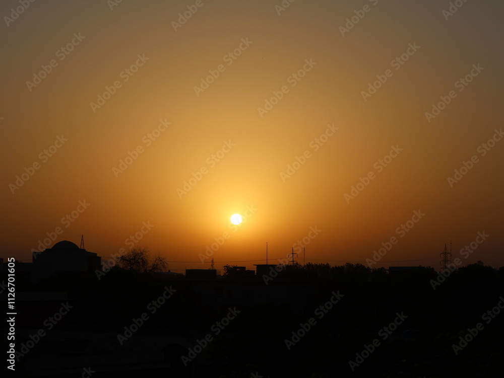Naklejka premium Birds flying in Sunrise, Golden Hour