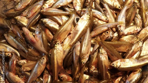 Pile of fresh small fish displayed on the ice market for sale. 
 photo