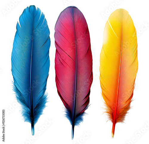 Colorful feathers in shades of blue, red, and yellow against a white background, symbolizing freedom, flight, and artistic expression