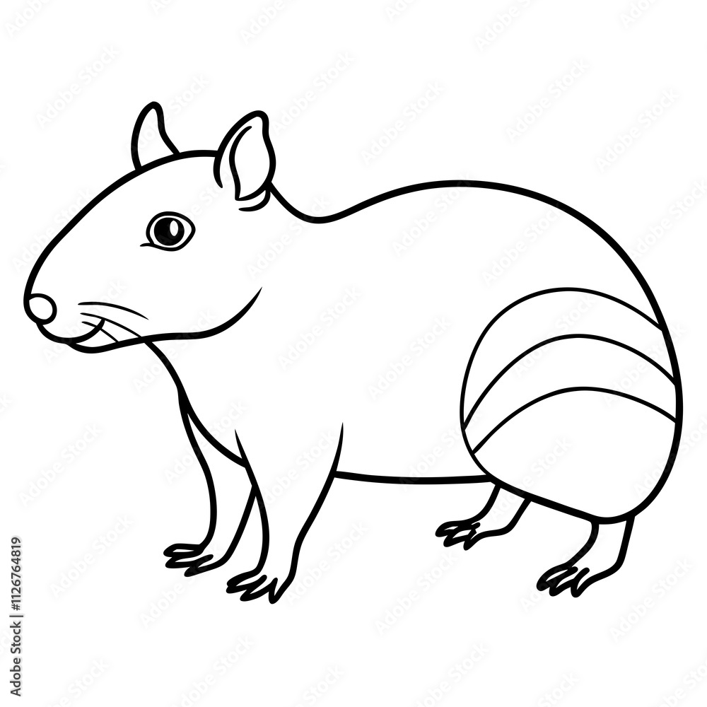 Obraz premium squirrel on a branch