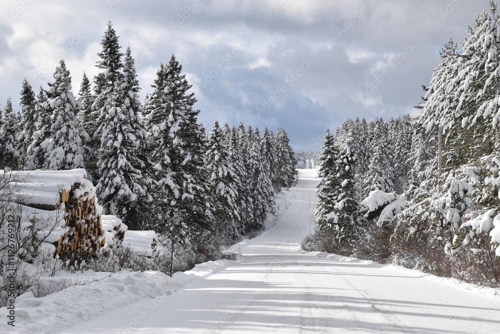 Fototapeta premium The Northern Range in Winter, Sainte-Apolline, Québec, Canada