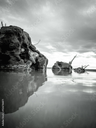 Botnay Bay - A beach full of life and death photo