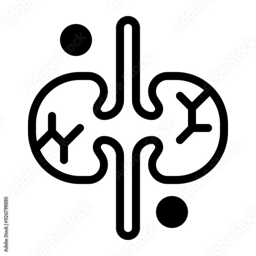 Kidneys glyph icon