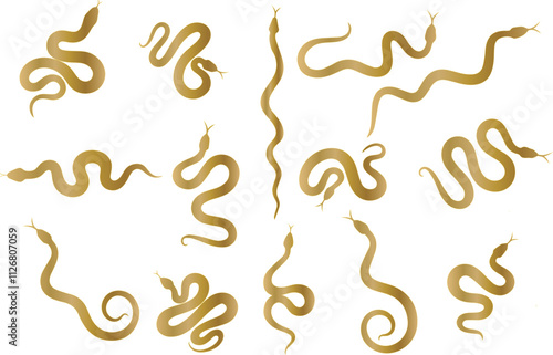Set of golden snake. Chinese snake ornament. Year of snake vector. Chinese New Year Celebration
