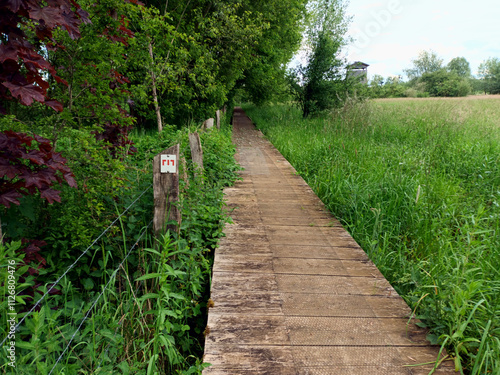 Wanderweg Minett Trail bei Schifflange in Luxemburg durch das Wasser- und Vogelschutzgebiet 