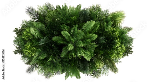 Lush Tropical Greenery: Overhead 3D Render of a Vibrant Plant Wall AI Generated