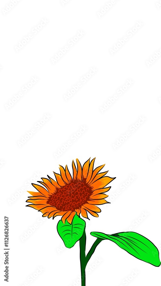 Fototapeta premium orange flower isolated on white