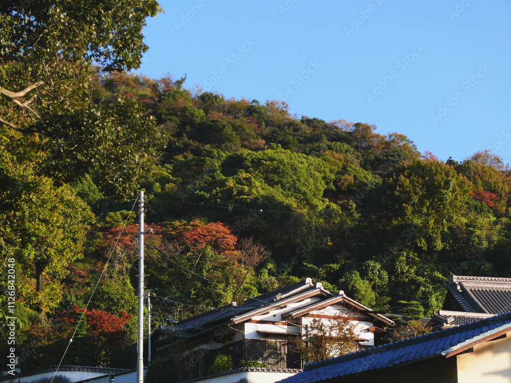 Naklejka premium 日本の秋の山と寺
