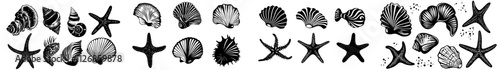 Modern seashell silhouettes set. Isolated background illustration featuring sea shells. Scallop and starfish drawing. Cockleshell inked in black for icon or logo. Underwater etching.