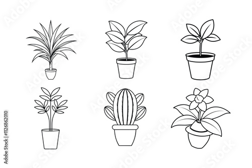 Various Plants: A Diverse Collection of Greenery, Leaves, and Flora