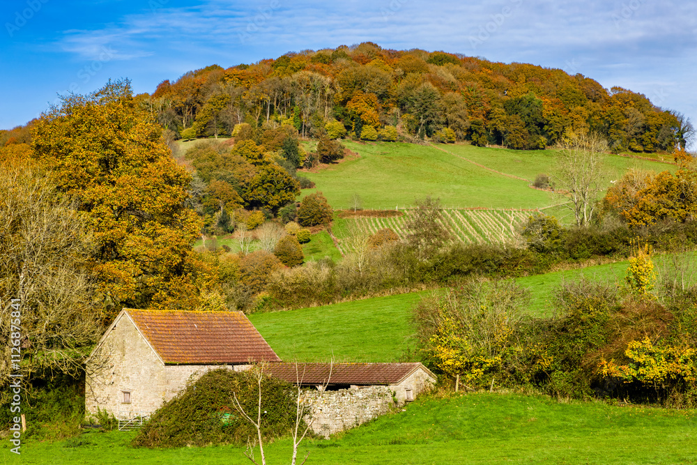 Obraz premium Rural farmland and autumn foliage on a sunny day in rural Wales (Tintern)