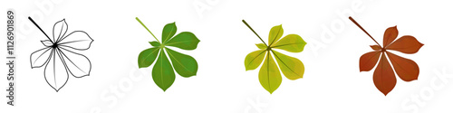 Black-white, Green, yellow, grey chestnut leaf isolated on white background. Chestnut leaves in spring, summer, autumn. Vector illustration. 