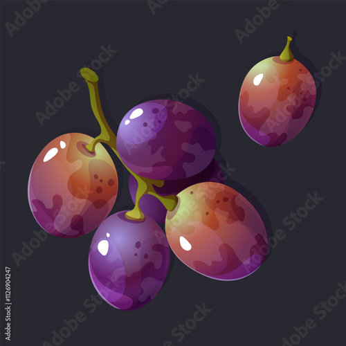 Vector grape illustration. Purple fruit 