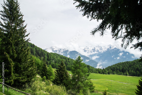 nature in the Dolomites mountains