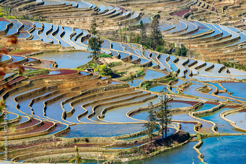 Aerial drone view of Yuanyang rice terrace at sunrise, Yunnan province, China