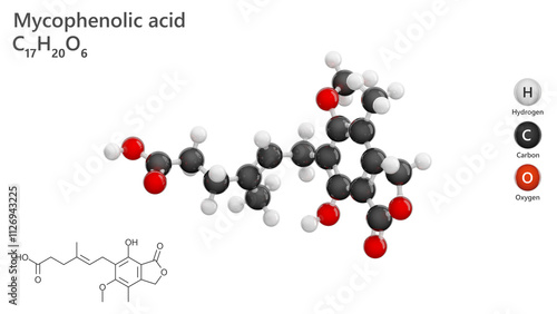 Molecule: Mycophenolic Acid. Immunosuppressant. Molecular structure. Formula: C17H20O6. Chemical model: Ball and stick. White background. 3D illustration. photo