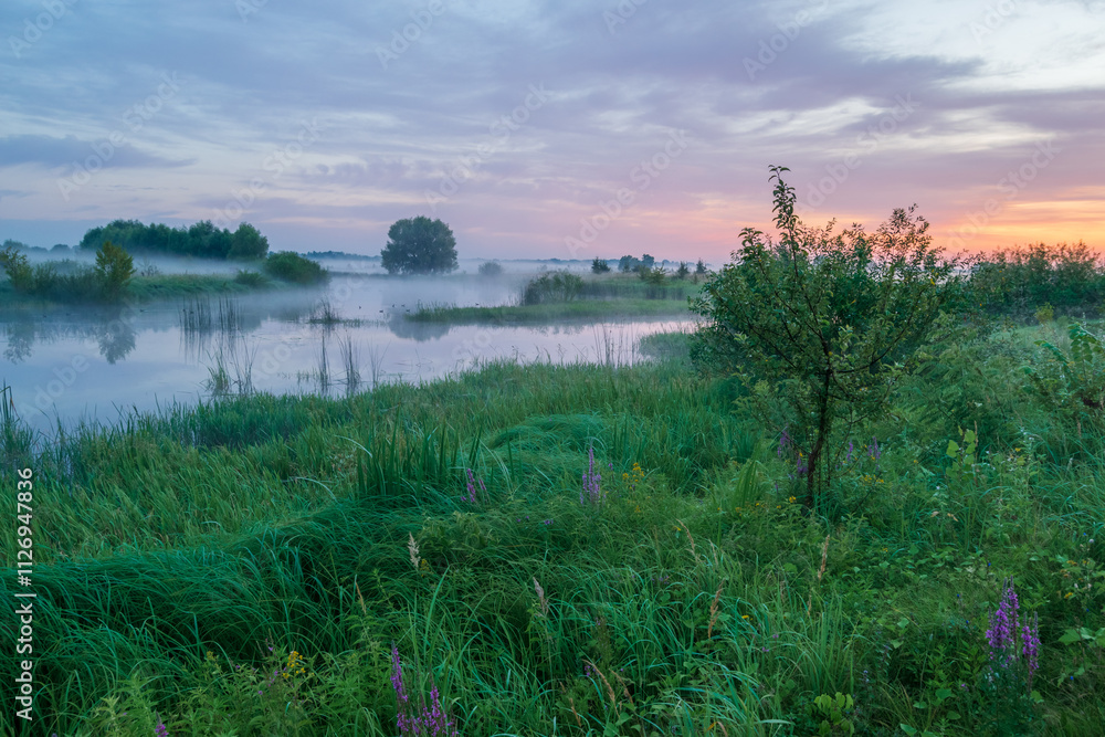 Naklejka premium sunrise over swamp