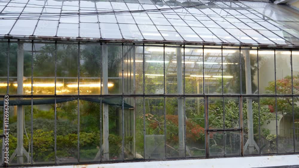 Old greenhouse building with tropical plants and trees with artificial lights, phyto lamps for growth. Facade view on glasshouse in autumn day. Old greenhouse building with tropical plants and trees with artificial lights, phyto lamps for growth. Facade view on glasshouse in autumn day.