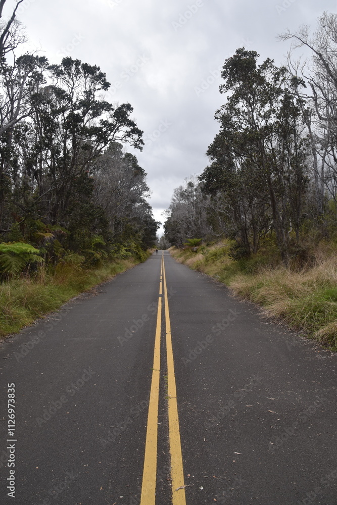 Fototapeta premium Broken roads and split asphalt from the volcanic eruptions and activities around Hawaii Volcanoes National Park on the big island