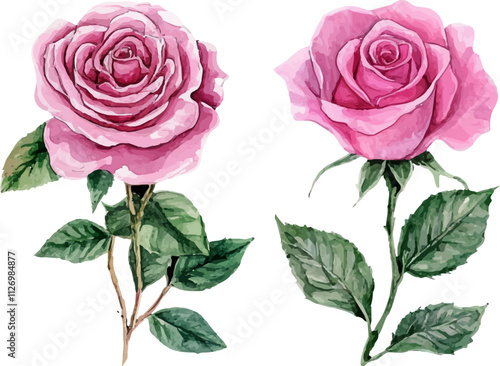 Watercolor pink rose flower bouquet for valentines day
