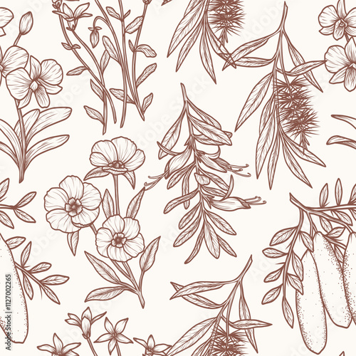 Hand drawn Australian native plants and flowers background. Cooktown orchid, eremophila, finger lime, Sturt's desert rose, royal bluebell, tea tree