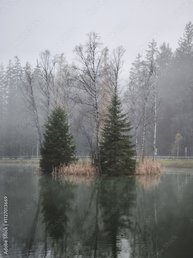 Fog enveloping small island with evergreen trees in chamonix Lake Gaillands November Fog enveloping small island with evergreen trees in chamonix Lake Gaillands November