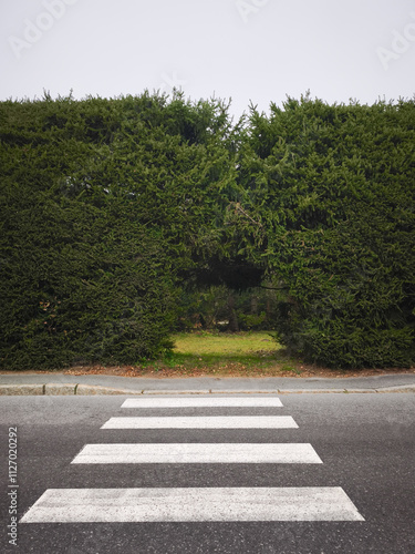 Pedestrian crossing leading to a gap in a hedge in chamonix, france November photo