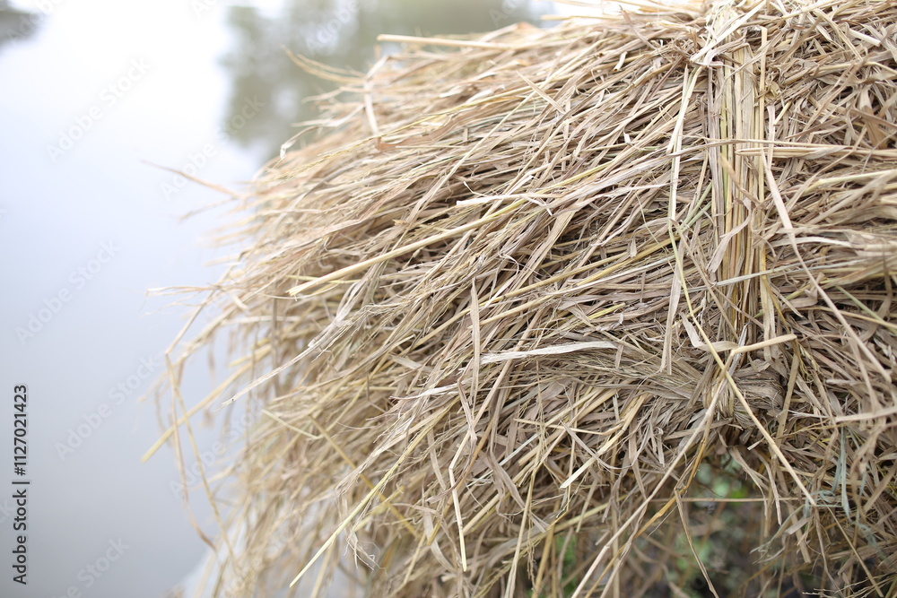 straw summer background. haystack straw prepared for farm. straw summer background. haystack straw prepared for farm.