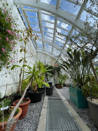 greenhouse in the garden