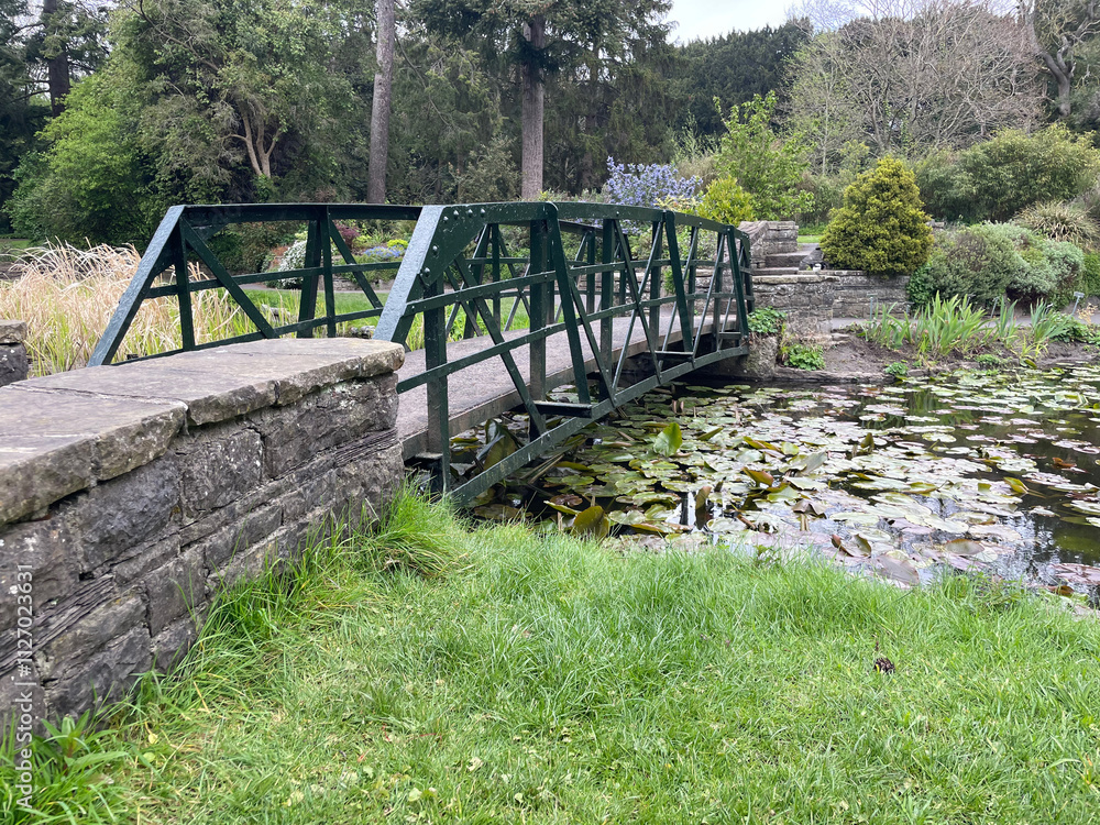 Fototapeta premium wooden bridge in the park