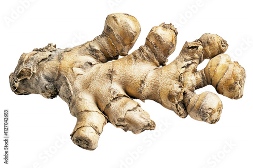 Fresh ginger root, isolated on transparent or white background photo