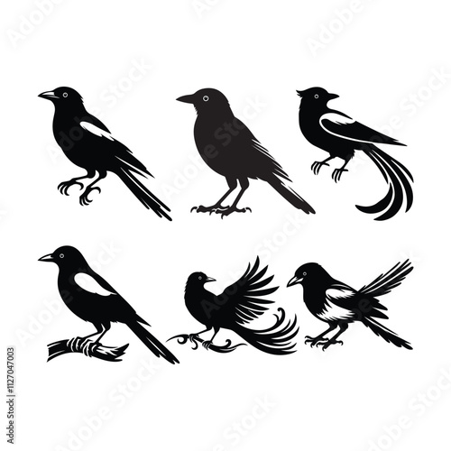 Magpie bird silhouette vector style with white background