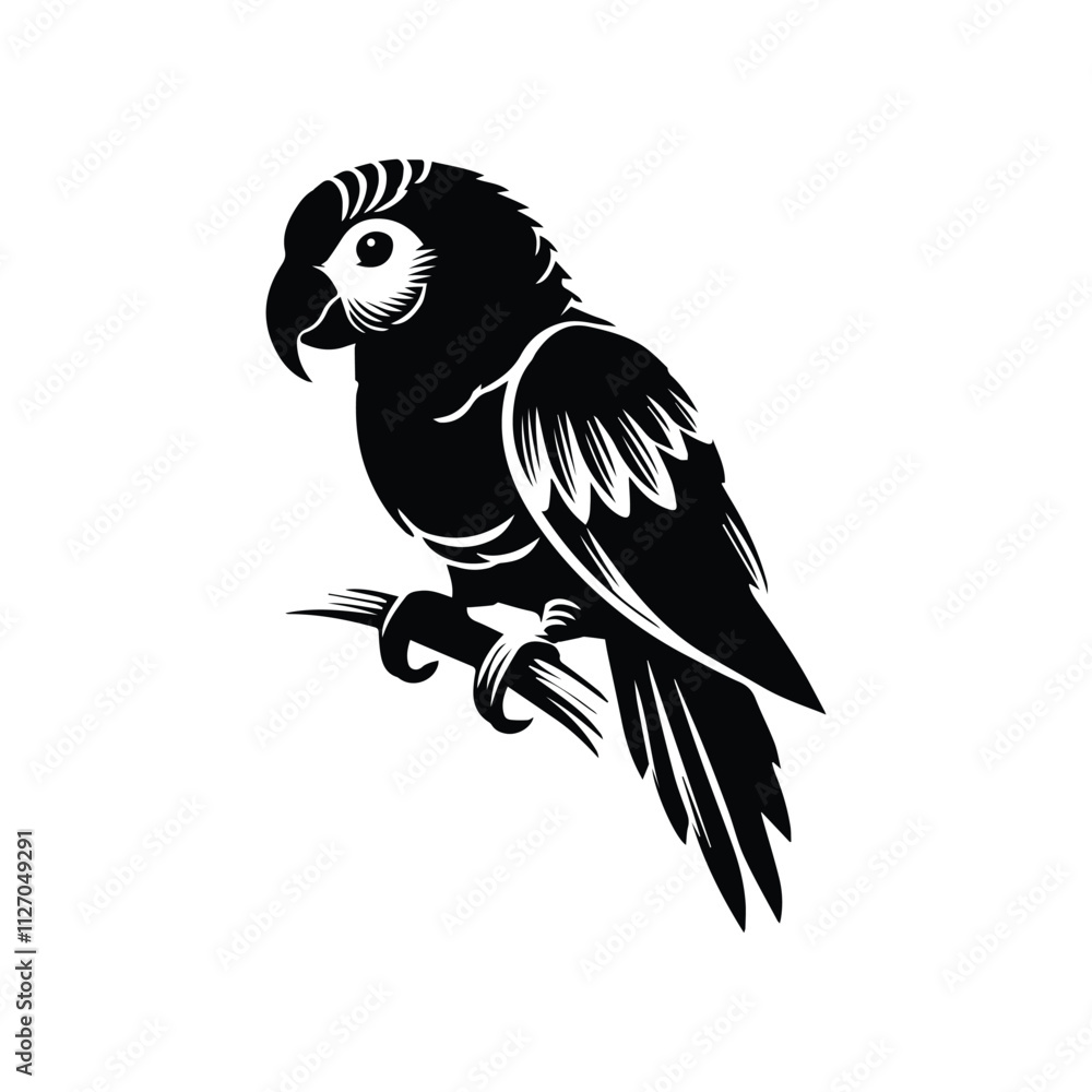 Parrot bird silhouette vector design Parrot bird silhouette vector design