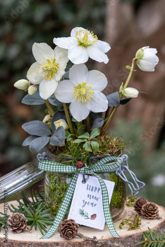 Sticker Christrose (Helleborus niger) im Glas als Neujahrs-Gartendekoration