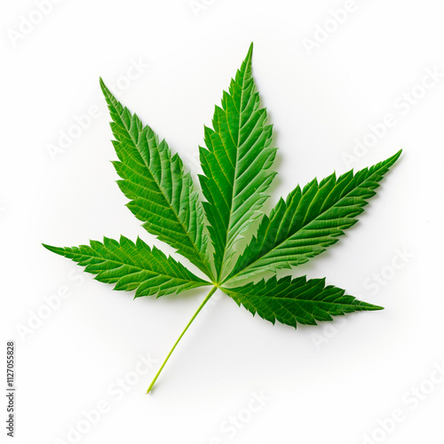 Green cannabis leaves on a white surface representing the drug's acceptance for personal or medical use.