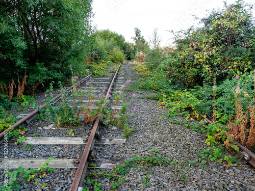 Disused overgrown old railway lines