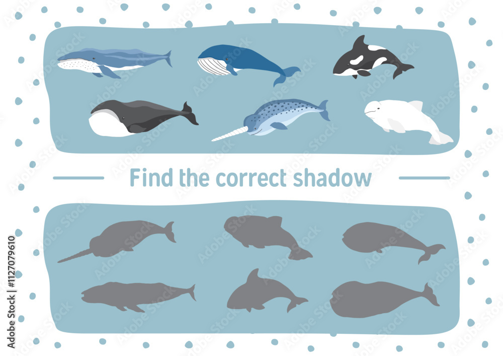 Fototapeta premium Matching game for children with cute cartoon polar sea animals, Logical activities for kids, Count the number of animals. Vector illustration.