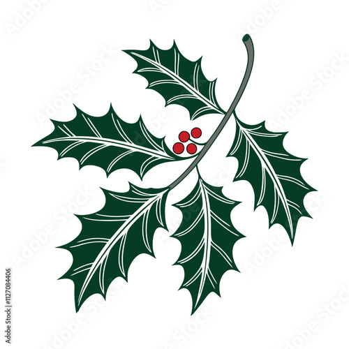 holly leaves and berries