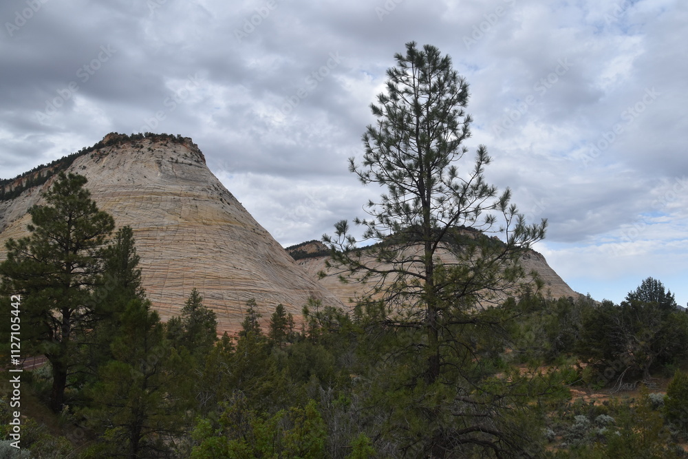 The dramatic landscapes and natural valleys of Zion National Park in Utah The dramatic landscapes and natural valleys of Zion National Park in Utah