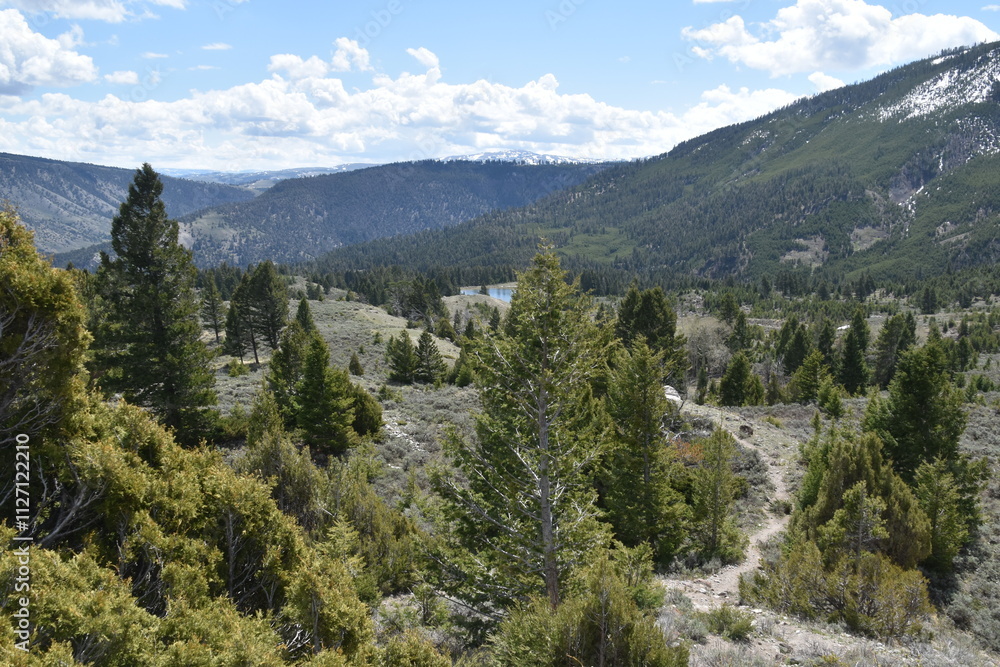 Fototapeta premium Stunning landscapes with old pine forests, rivers, valleys and waterfalls in Yellowstone National Park in Wyoming and Montana