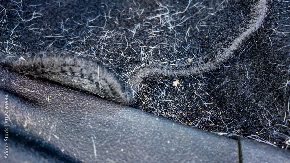 Naklejka premium Close-up of a black fabric covered in pet hair, highlighting the struggle of pet owners with shedding