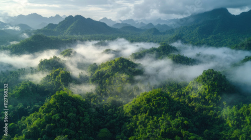 Rainforest aerial photo showcasing dense jungle canopies and mist-covered mountain ranges