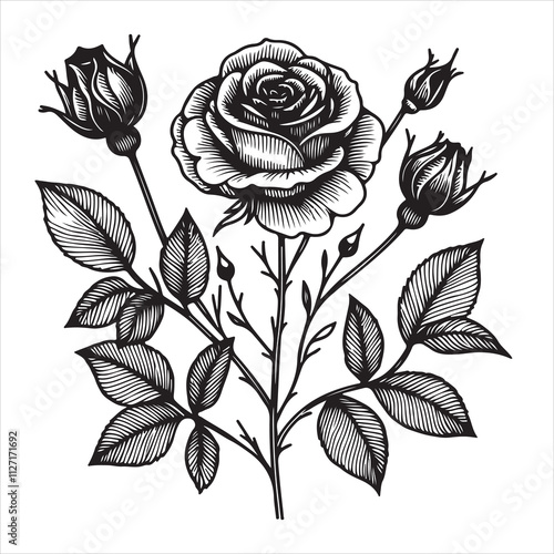 A sketch of a rose in black and white with the words "rose" written on it