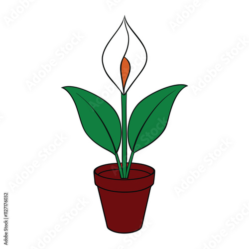 peace lily plant vector illustration