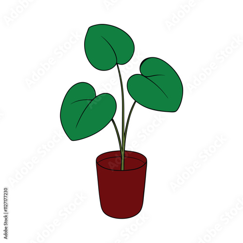 Chinese Money Plant vector illustration