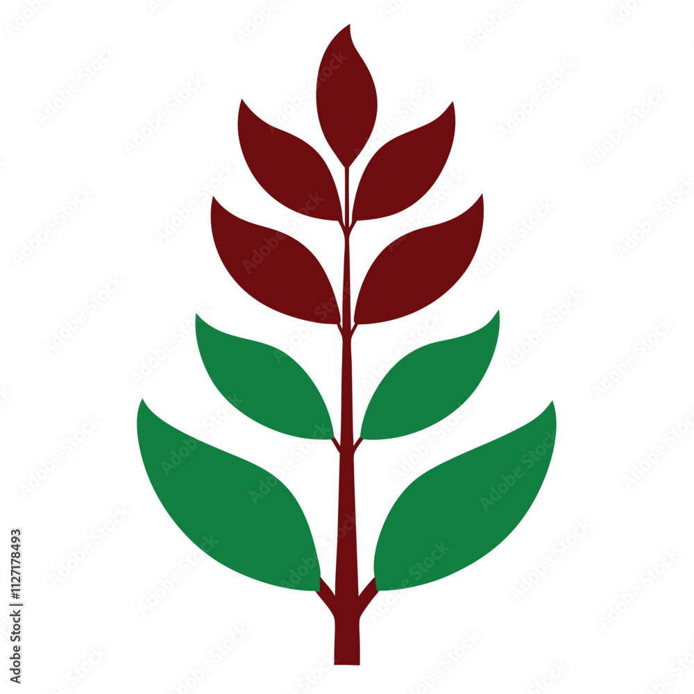 zamioculcas zamiifolia plant vector illustration zamioculcas zamiifolia plant vector illustration