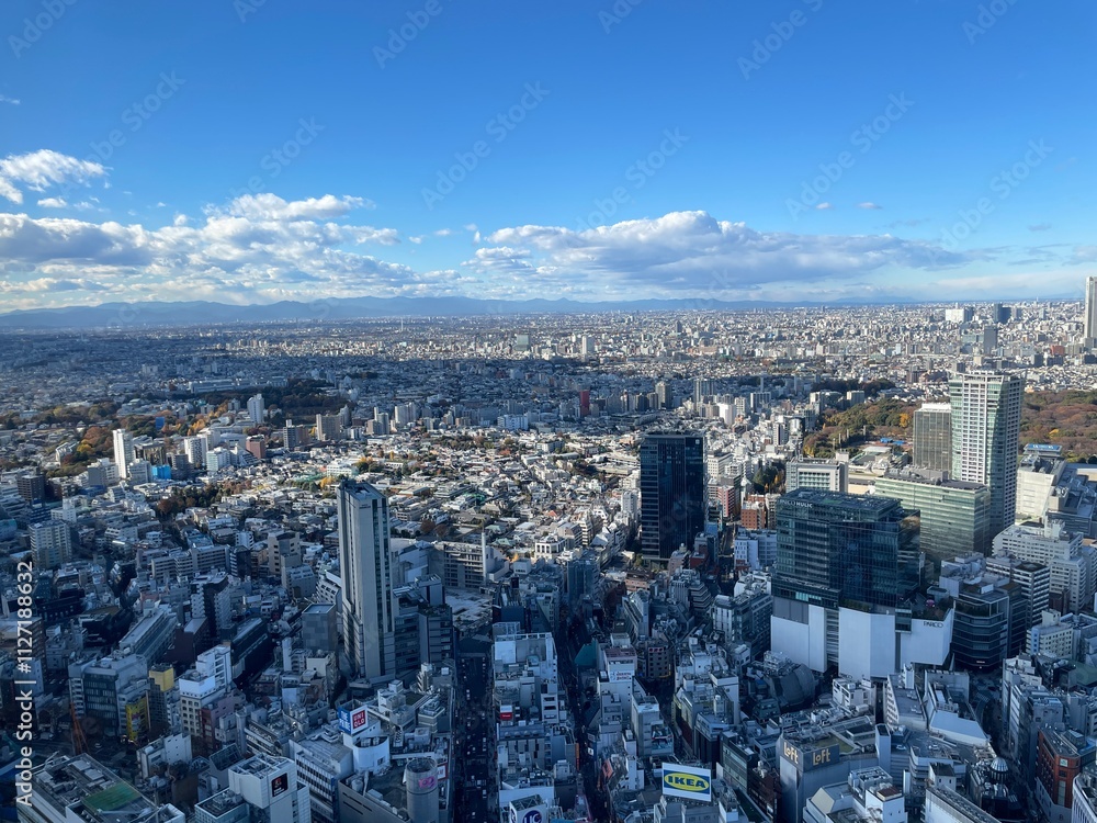 Fototapeta premium 東京・渋谷の景観