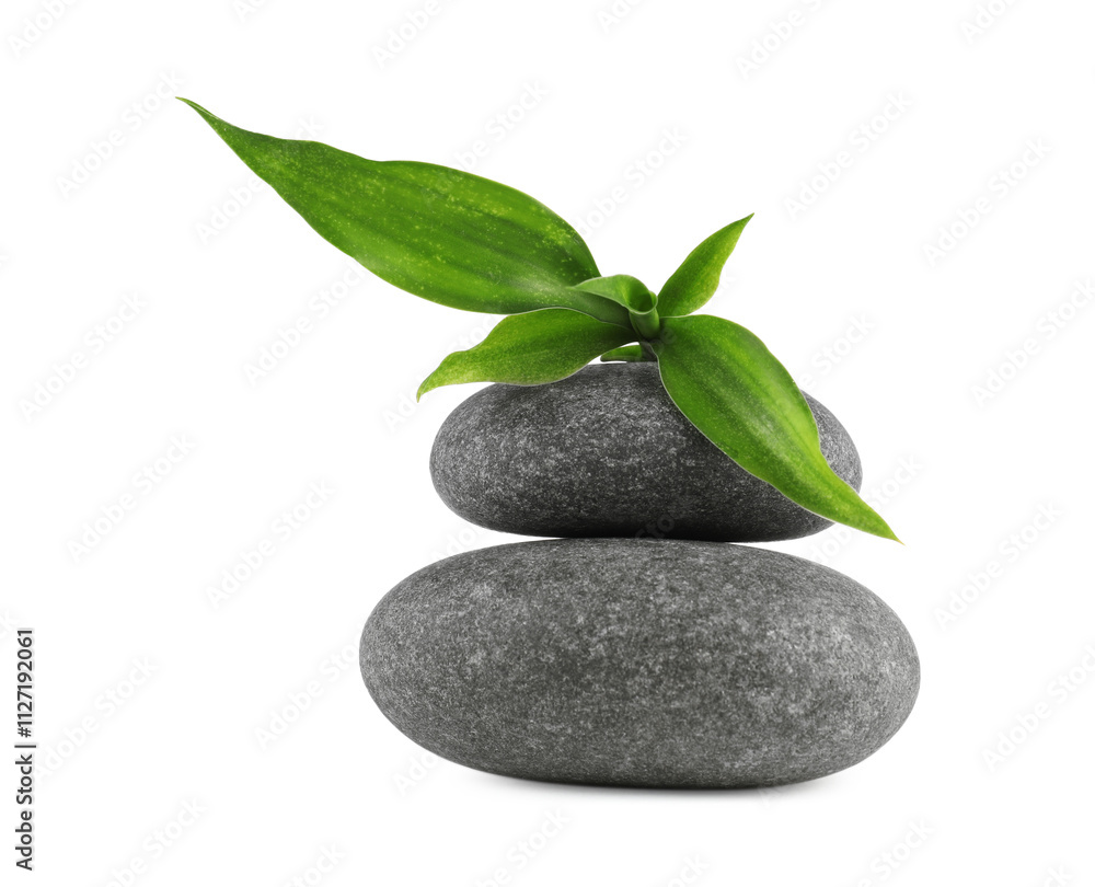 Spa stones and green leaves isolated on white Spa stones and green leaves isolated on white