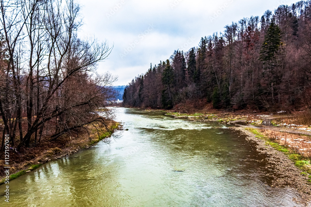 Landscapes - Forest - Europe, Romania, Suceava region 
