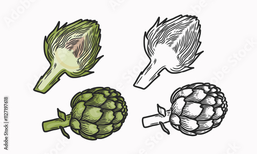 Artichoke vector illustration. Whole and cut artichoke.  Line drawing and coloring. Vegetable. Flat illustration